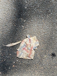 a piece of paper laying on the ground next to a fire hydrant