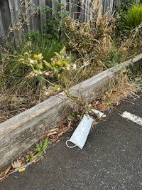 a white plastic bag on the side of the road