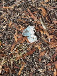 a plastic bottle lying on the ground