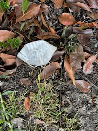 a white piece of paper laying on the ground