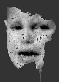 a 3d model of a face with a hole in it