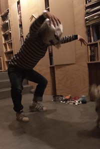 a man is playing with a dog in a room