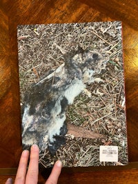 a person holding a book with a dead animal on it