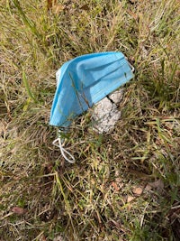 a blue medical mask lying in the grass