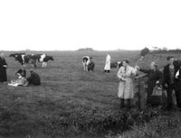 a group of people standing in a field with cows